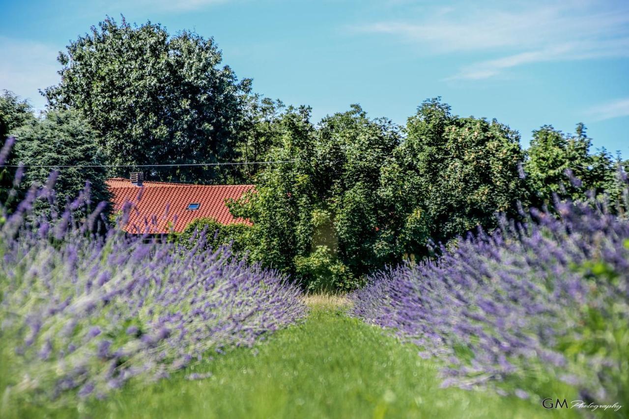 Azienda Agricola La Macina Bregnano Luaran gambar